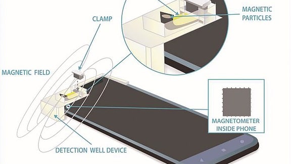 Die Illustration zeigt, wie ein Smartphone-Magnetometer mit Hilfe eines magnetisierten Hydrogels eine Vielzahl biomedizinischer Eigenschaften in flüssigen Proben messen kann.