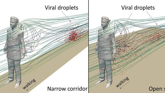 Grafische Darstellung der Verteilung von viralen Aerosoltröpfchen beim Gehen in engen und weiten Räumen