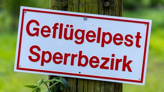 Auf einem Schild steht <<Geflügelpest Sperrgebiet>>