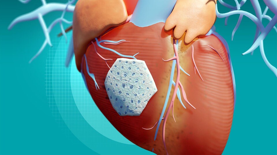 Medikament Fur Gebrochene Herzen Gefunden Mdr De