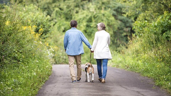 Mann und Frau auf Waldweg bei Spaziergang mit Hund