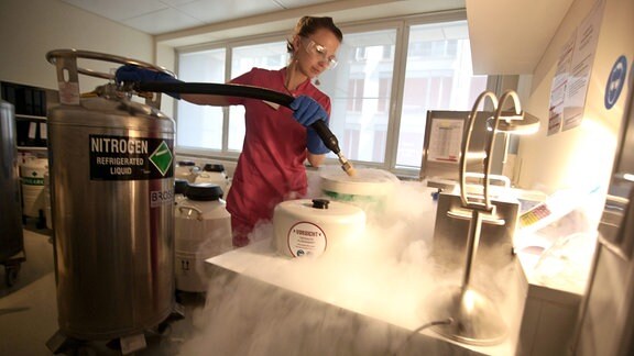 Laborleiterin Ann-Kathrin Hosenfeld im Tiefkühlraum beim Einfrieren von Sperma bei minus 196 Grad.