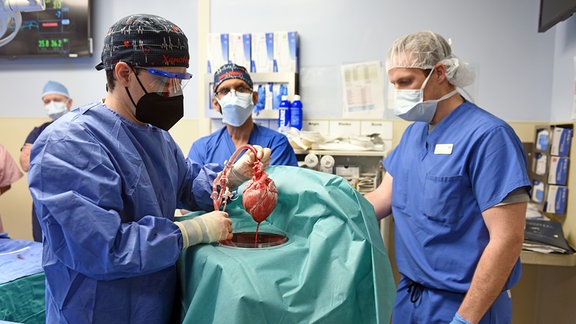Drei Chirurgen stehen im Operationssaal. Einer von ihnen (l.) hält ein genetisch modifiziertes Schweineherz hoch.