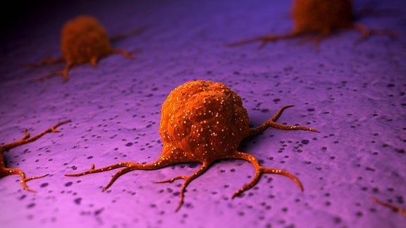 3D Grafik einer Krebszelle
