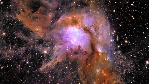 Sternenkindergarten Messier 78 aufgenommen von Weltraumteleskop Euclid