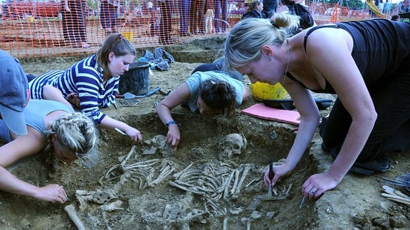 Vier Frauen befreien mit Pinseln und kleinen Werkzeugen vorsichtig ein Skelett von Erde. Im Hintergrund stehen hinter einer Absperrung mehrere Personen.