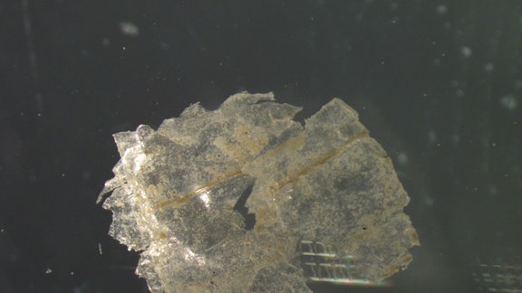 Mikroplastik in den Sedimenten der Tiefsee