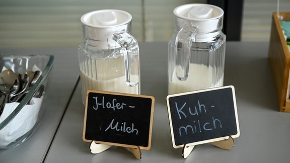 Hafermilch und Kuhmilch stehen zur Auswahl nebeneinander. 