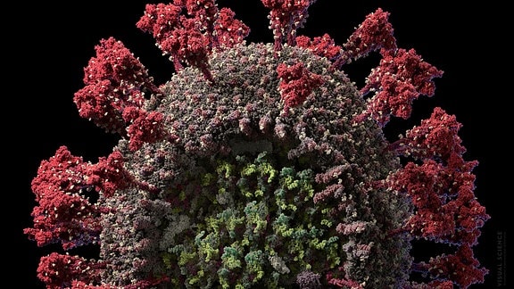 Die Grafik zeigt ein wissenschaftliches genaues Modell der neuen Coronavirus Sars-CoV-2 ein eine hohen Auflösungsstufe, bei der sogar einzelne Atome des Virus erkennbar sind.