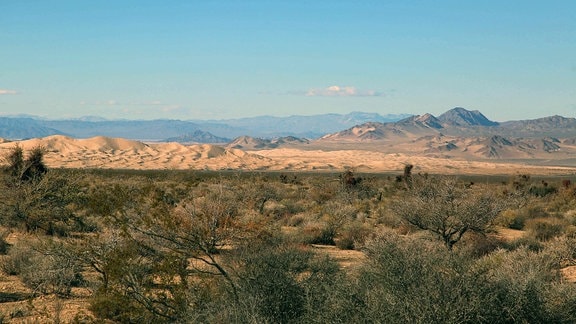 Mojave-Wüste in Südkalifornien