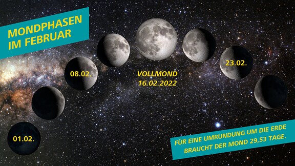 Eine Infografik zu den unterschiedlichen Mondphasen für den Februar in 2022. 