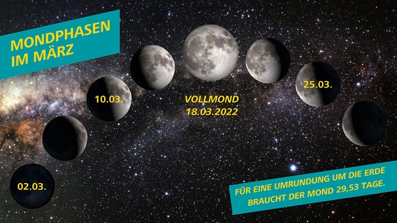 Eine Infografik zu den unterschiedlichen Mondphasen für den März in 2022. 