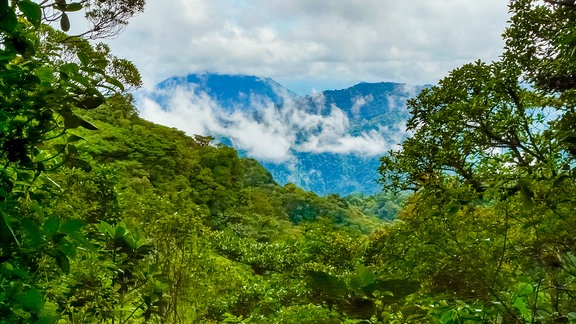 Blick in den Nationalpark Monteverde in Costa Rica.