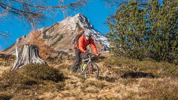 Mountainbiker fährt querfeldein eine Almwiese in den Alpen hinunter.