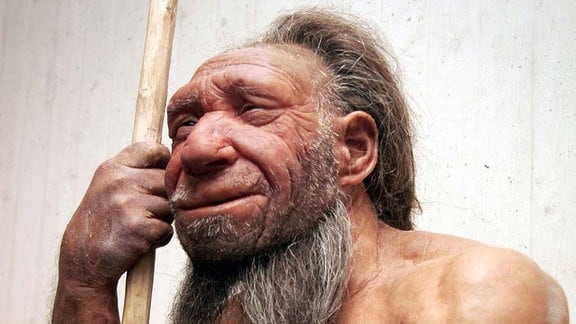 Rekonstruktion eines Neandertalers im Neandertalmuseum in Mettmann