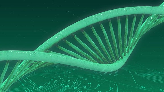 Illustration DNA Speichermedium