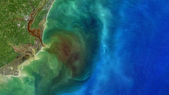 Das Bild entstand am 1. Oktober 2020 und wurde von Landsat-8 aufgenommen. Es zeigt, wie die abgestorbenen Blätter und Pflanzenabfälle aus den Flüssen Waccamaw, Pee Dee, Black und Sampit ins Müdnungsgebiet im Osten von South Carolinas (USA) spült. 