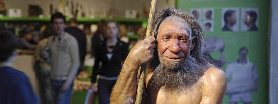 Gene neandertaler Diabetes Risk