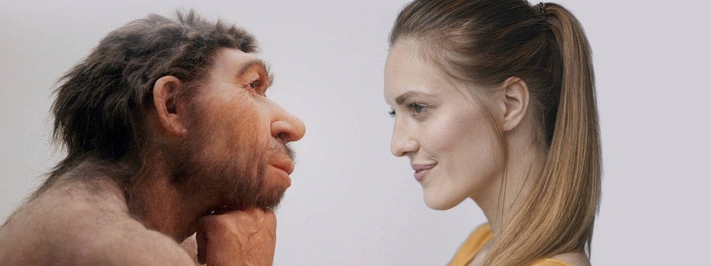 Dna Vergleich Hat Der Mensch Den Neandertaler Integriert Mdr De