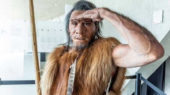 Neandertaler-Rekonstruktion im Museum im Archäopark Niederstotzingen auf der Schwäbischen Alb