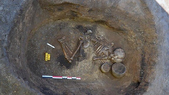 Skelett eines Jugendlichen am archäologischen Fundplatz Nepluyevsky 