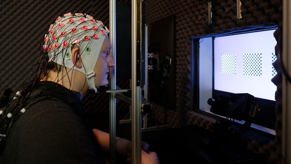 MDR WISSEN News: Nuevos hallazgos de la investigación del cerebro: ¿Cómo recordamos?