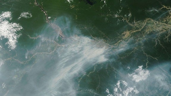 Feuer im Regenwald: Diese Satellitenaufnahme der Nasa zeigt riesige Rauchwolken über dem Amazonas-Regenwald im Oktober 2023.