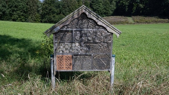 Ein Insektenhotel an einem Wanderweg.