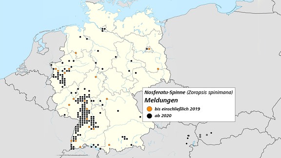 Deutschlandkarte mit dem Vorkommen der Nosferatu-Spinne (Grafik).