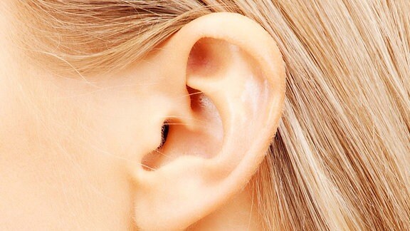 Ein Ohr einer Frau mit blonden Haaren.