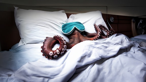 KI-generiertes Bild eines Oktopus mit Schlafmaske