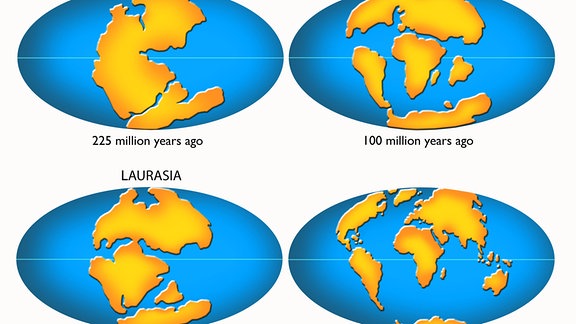 Oben links: Pangaea, der einzige "Ur-Kontinent" Unten links: Aus Pangaea sind die Superkontinente Laurasia (Norden) und  Gondwana (Süden) entstanden Oben rechts: Die heutigen Kontinente sind schon größtenteils erkennbar, driften aber noch auseinander Unten rechts: Die heutigen Kontinente