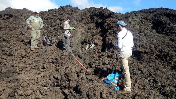 Das Team sammelt mit Unterstützung eines Rangers des Galápagos-Nationalparks Proben von erstarrten Lavaströmen am Wolf-Vulkan.