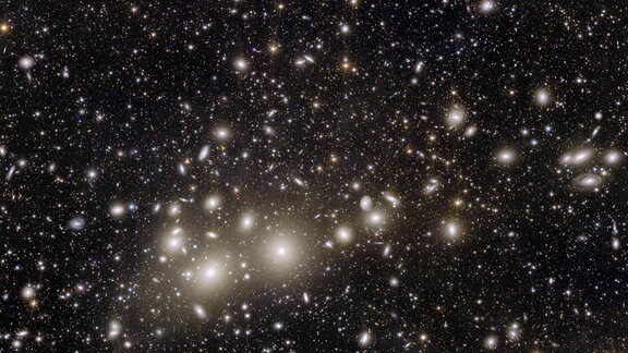 Perseus Galaxiehaufen Euclid-Bild