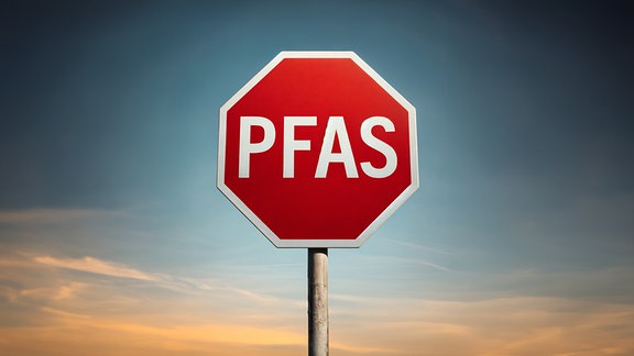 Stopschild mit Schriftzug PFAS