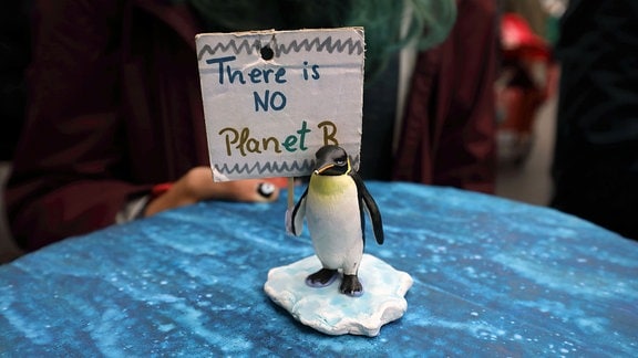 Figur eines Pinguins steht auf blauer Pappe, dahinter eine kleines Schild mit der Aufschrift: There is NO Planet B
