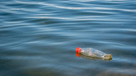 Eine Plastikflasche treibt auf dem Wasser