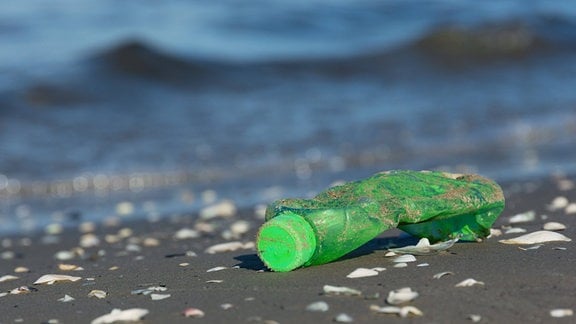 Plastikmüll an der Ostseeküste
