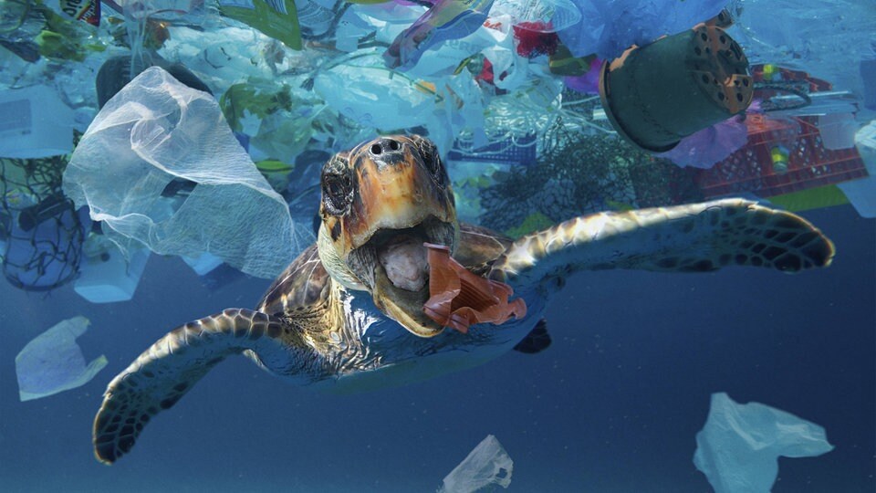 Plastik vermeiden - Aber wie? Und ergibt das Sinn? | MDR.DE