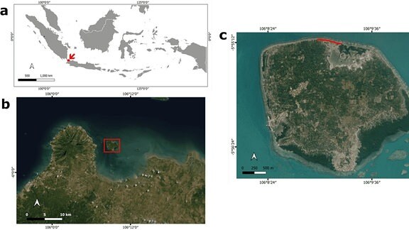 Eine Karte und Satellitenbilder zeigen die Lage einer Insel in Indonesien.