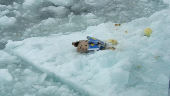 Müll auf einer arktischen Meereisscholle
