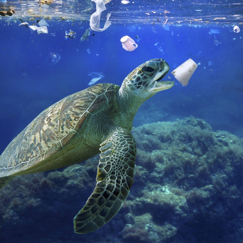 Plastikmüll im Meer: Schwimmende Müllschlucker können das Problem nicht  lösen | MDR.DE