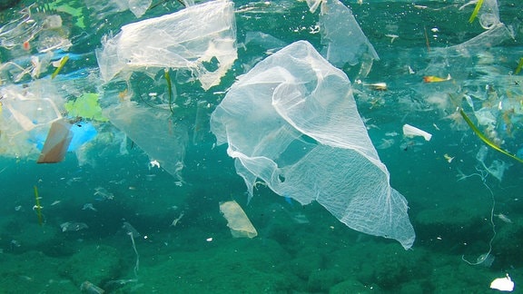 Schwimmender Plastikmüll im Meer.