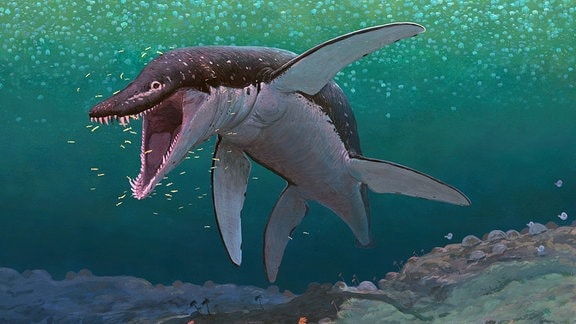 Die künstlerische Darstellung zeigt den Pliosaurier Lorrainosaurus.