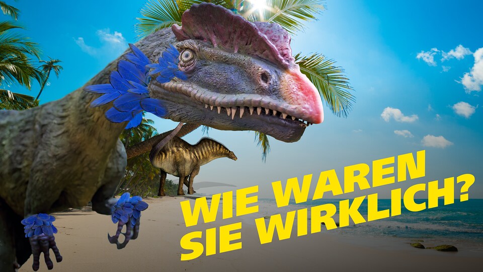 Wie waren die Dinosaurier wirklich? | MDR.DE