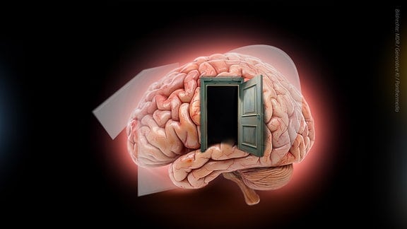 In der Mitte eines menschlichen Gehirns befindet sich eine weit geöffnete Tür, die in schwarzes Nichts führt. Als Wasszeichen die Zahl Zehn.