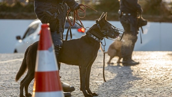 Polizei mit Polizeihunden im Einsatz.