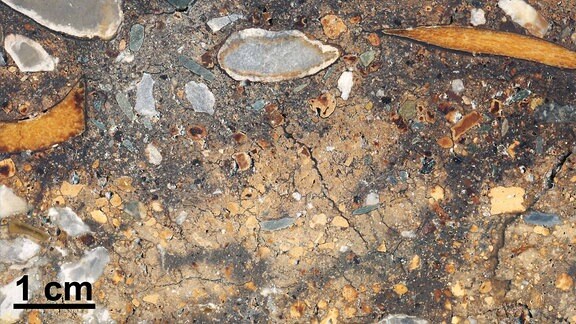 Präpariertes Sedimentstück aus Denisovahöhle