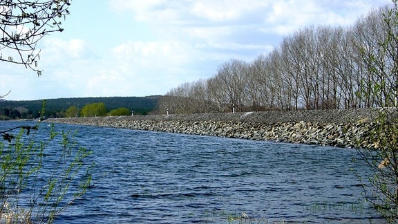 Die Quitzdorf-Talsperre war eine der drei Brauchwasser-Talsperren in Sachsen, die im Projekt MikroPlaTaS untersucht wurden.