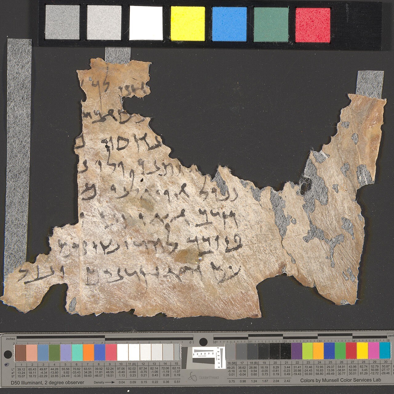 Erste Bibel auf Hebräisch DNA-Analyse löst Rätsel um die berühmten Qumran-Rollen MDR.DE Foto Bild Foto